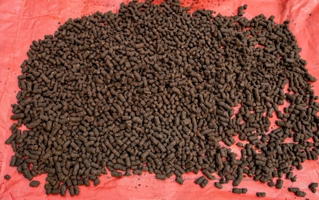 Fish feed pellets