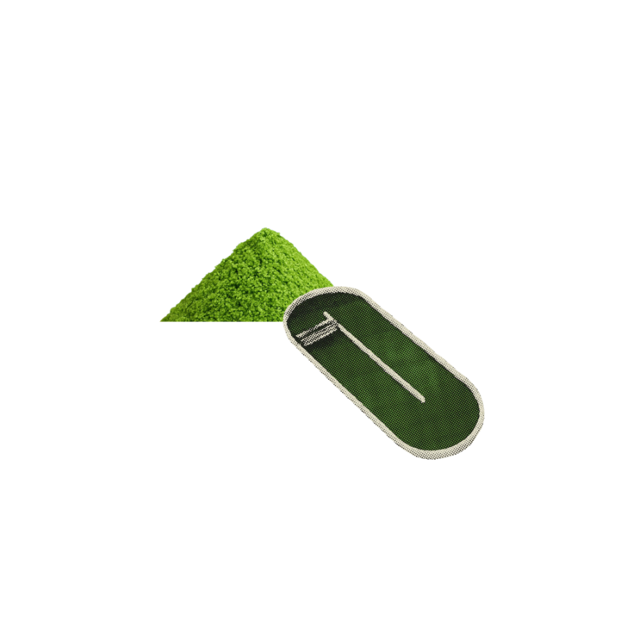 Duckweed biomass and raceway module